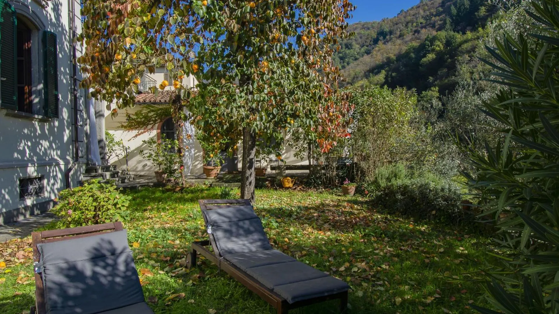 Apartment Corsonna By Interhome Barga Italien